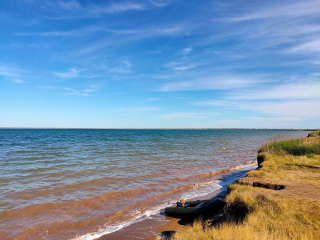 Ученые ВНИРО изучают состояние среды обитания рыб в Новосибирском водохранилище