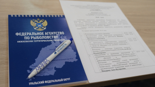 Учёные ВНИРО рассказали о работе по сохранению водных биоресурсов Западно-Сибирского рыбохозяйственного бассейна